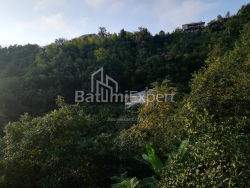 خانه شخصی 4-комн 2501 m² - آکاکی شاینیدزه, Khelvachauri
