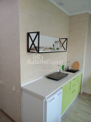 آپارتمان 33 متر مربع - شالوا ایناساریدزه, Batumi, گرجستان