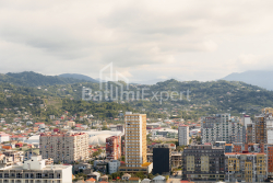 آپارتمان 52.5 متر مربع - اکوتیم تاکایشویلی, Batumi, گرجستان