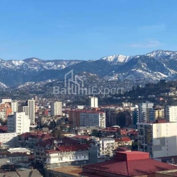 آپارتمان 50 متر مربع - سلیما خیمشیاشویلی, باتومی, گرجستان