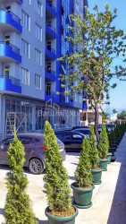 آپارتمان 30 متر مربع - کلانتر خیمشیاشویلی, Batumi, گرجستان