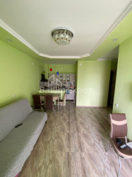 آپارتمان 2-комн 46 m² - گریگولا الیوا, Batumi