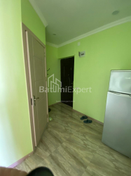 آپارتمان 46 متر مربع - گریگولا الیوا, Batumi, گرجستان