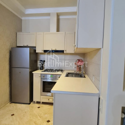 آپارتمان 52 متر مربع - دیوید آگماشنبلی, Batumi, گرجستان