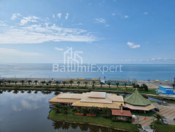 آپارتمان 51 متر مربع - کلانتر خیمشیاشویلی, Batumi, گرجستان