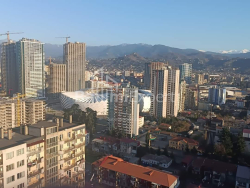 آپارتمان 46 متر مربع - نیکو پیروسمانی, Batumi, گرجستان