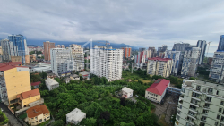 آپارتمان 33 متر مربع - شالوا ایناساریدزه, Batumi, گرجستان