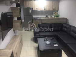 آپارتمان 2-комн 45 m² - الکساندرا پوشکین, Batumi