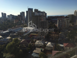 آپارتمان 52 متر مربع - دیوید آگماشنبلی, Batumi, گرجستان