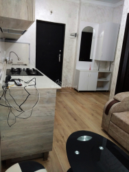 آپارتمان 2-комн 29 m² - شالوا ایناساریدزه, Batumi