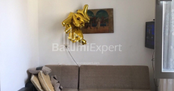 آپارتمان 52 متر مربع - دیوید آگماشنبلی, Batumi, گرجستان