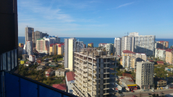 آپارتمان 1-комн 32 m² - پترا باگریونی, Batumi